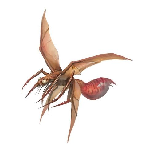 Suceur des mangroves